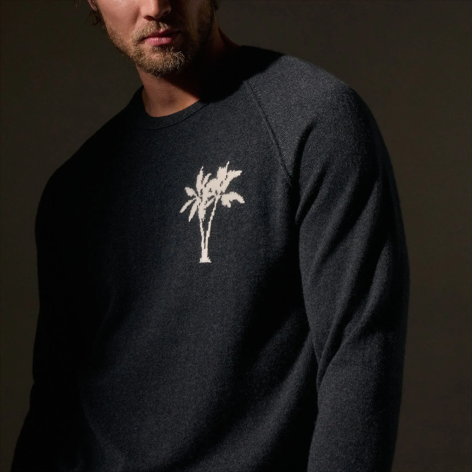 Recycled Cashmere Palm Crew- Coal
