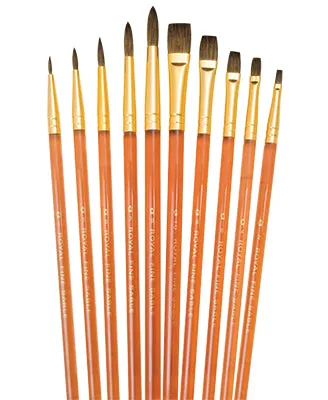 Rset SVP6 Sable Bristle 10 pc Brush set